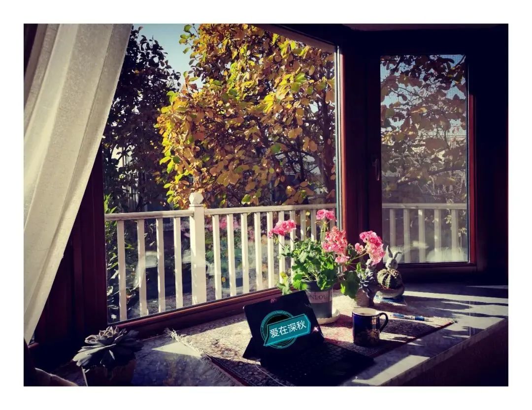 "Autumn by the window" let the dream here gradually enrich!